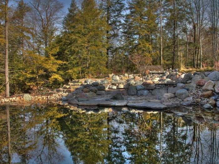 Why you should put a natural swimming pond in your backyard this summer