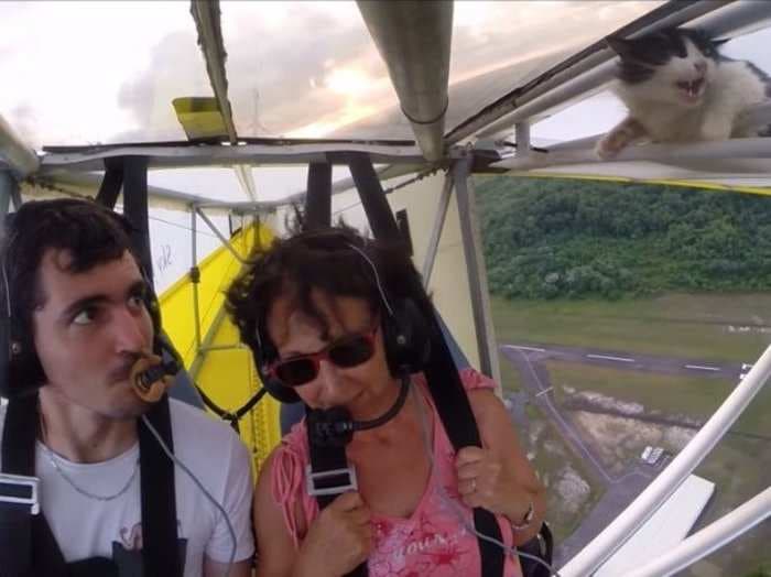 The awesome moment a pilot realizes in mid-air that a cat jumped onto his plane