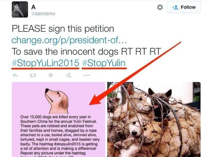 This Chinese dog-eating festival's days are numbered thanks to a massive social media campaign
