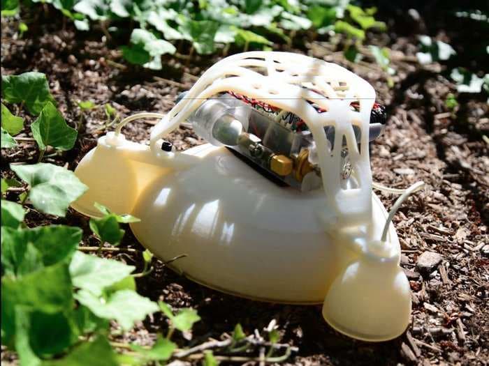 This adorable explosion-powered robot hops around like a frog