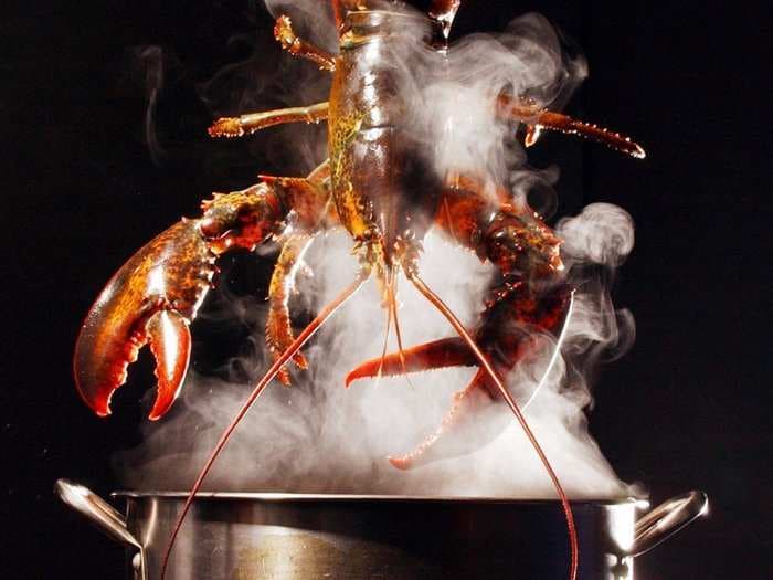 Science explains why lobster is so incredibly expensive