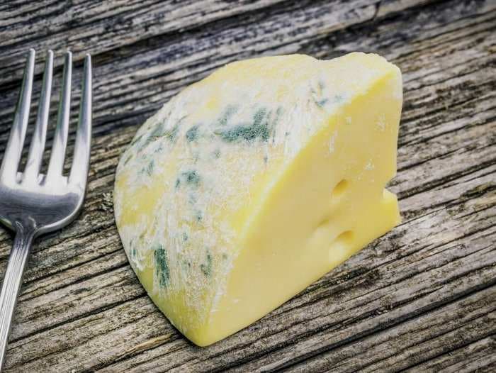 We definitively solved the debate over whether you can still eat cheese with mold on it