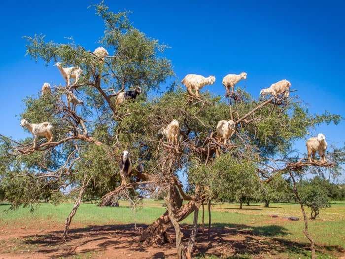 The most incredible natural phenomena around the world