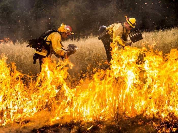 This video of a wildfire engulfing a forest in seconds is terrifying