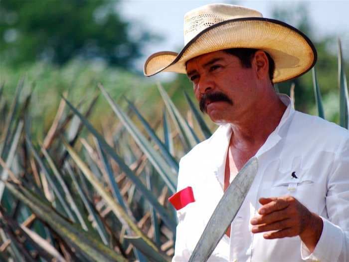 How to drink tequila like a Mexican