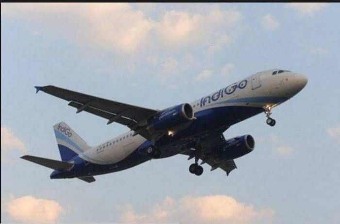 Indigo raises Rs 3,010 crore in IPO