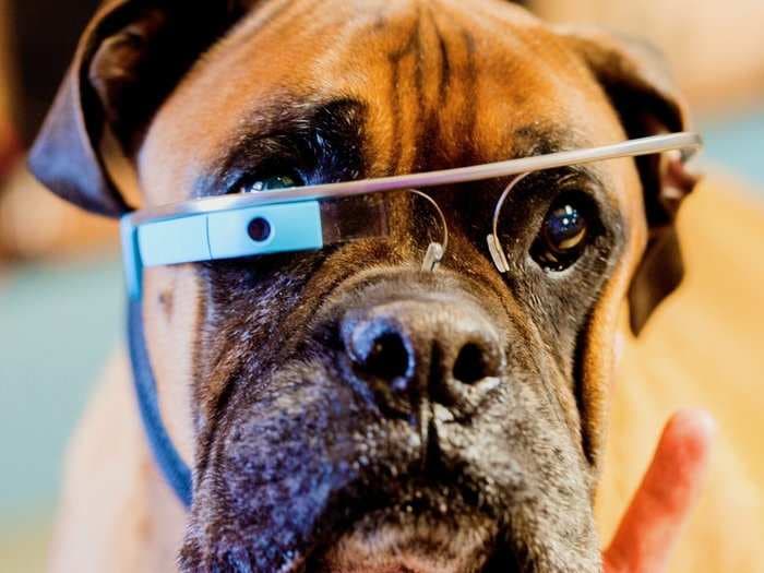 Google is officially a 'dog company'
