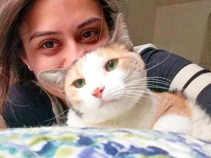 Happy National Love Your Pet Day! Here's 7 quirky cat behaviors and what they mean