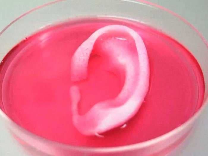 Scientists just printed usable human bones and muscle