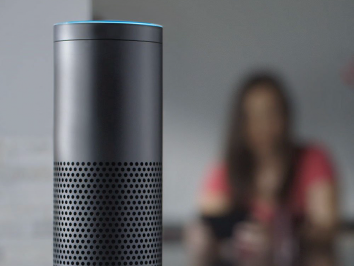 Amazon Echo gadgets reset an owner's thermostat and went rogue after hearing a trigger word on a radio show