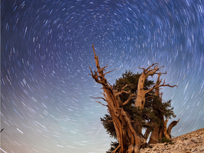 The best places to go stargazing in America, according to an expert photographer