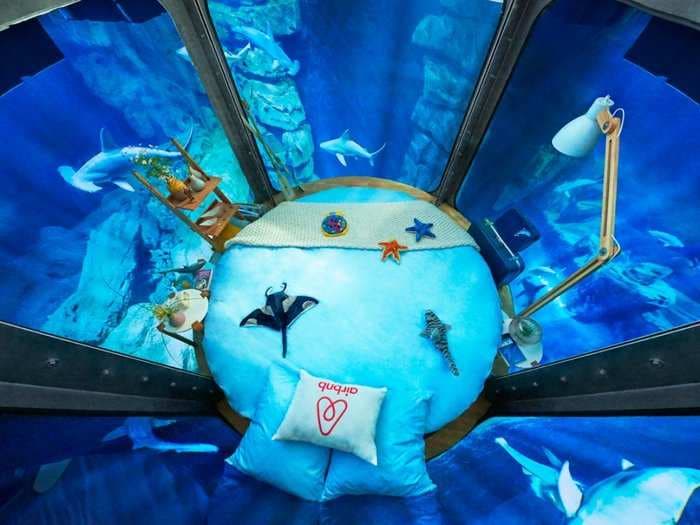 Sleep inside a shark tank for free in Airbnb's first underwater bedroom