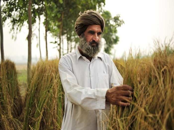 This could be real bad news for Punjab. Banks might not lend anymore to the state government to purchase food