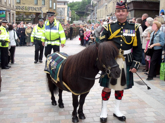 Here's some of the world's most adorable military mascots