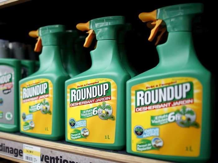 Bayer is reportedly looking to buy Monsanto - and Monsanto's stock is surging