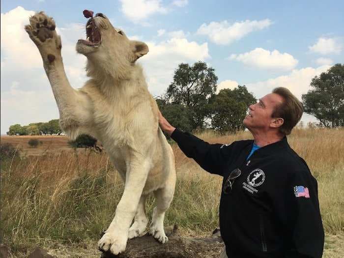 Arnold Schwarzenegger had a very close encounter with an elephant, then used it to spread an important message