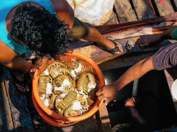 32 stunning photos that take you inside the dangerous, deadly, and never-before-seen world of Nicaraguan lobster divers