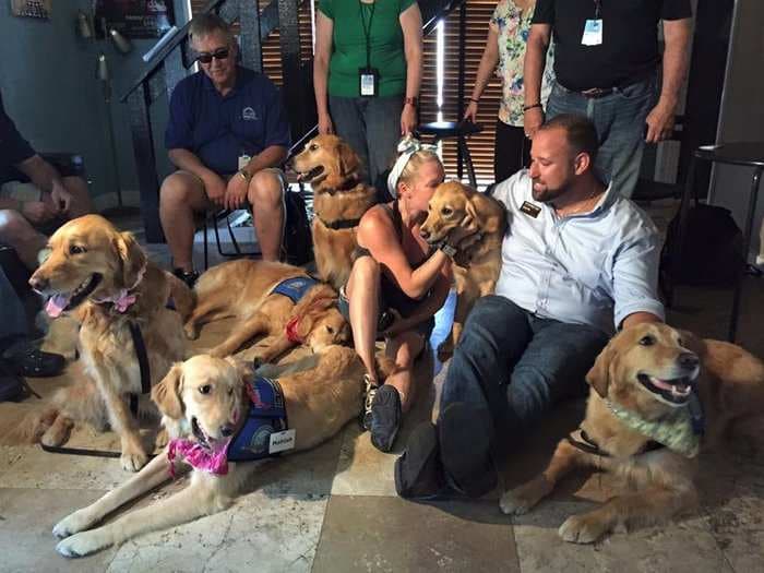 Comfort dogs have been deployed in Orlando to help people grieve in the aftermath of Sunday's shooting