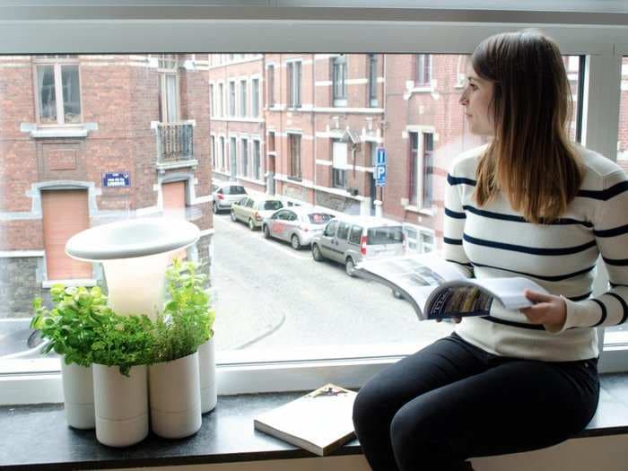 This self-watering herb garden is completely idiot-proof