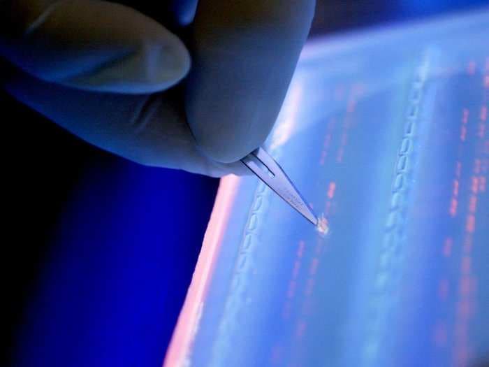 This recent scientific finding on DNA could be a forensic breakthrough