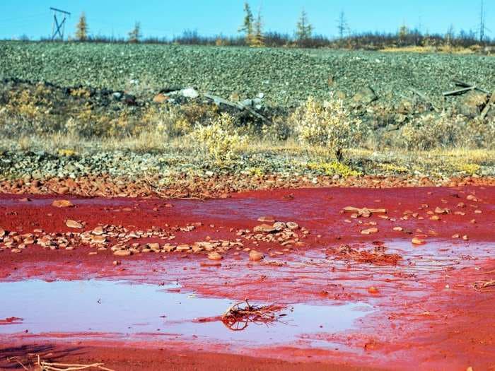 A 'blood river' showed up in a Siberian 'dead zone' twice the size of Rhode Island - and no one knows why