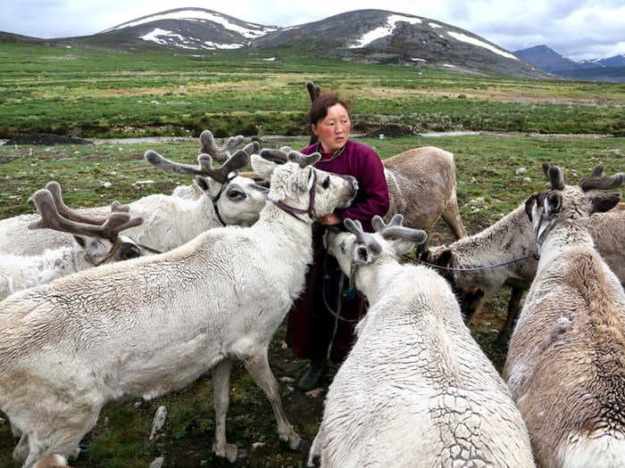 Stunning photos of the Tsaatan reindeer herders of Mongolia, a dying culture