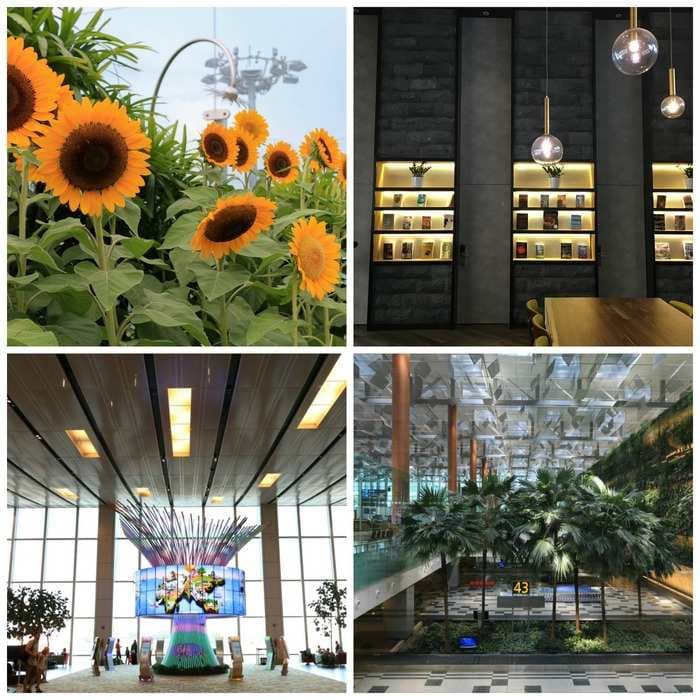 From a rooftop swimming pool to a sunflower garden-Here’s what Singapore’s Changi Airport looks like from the inside