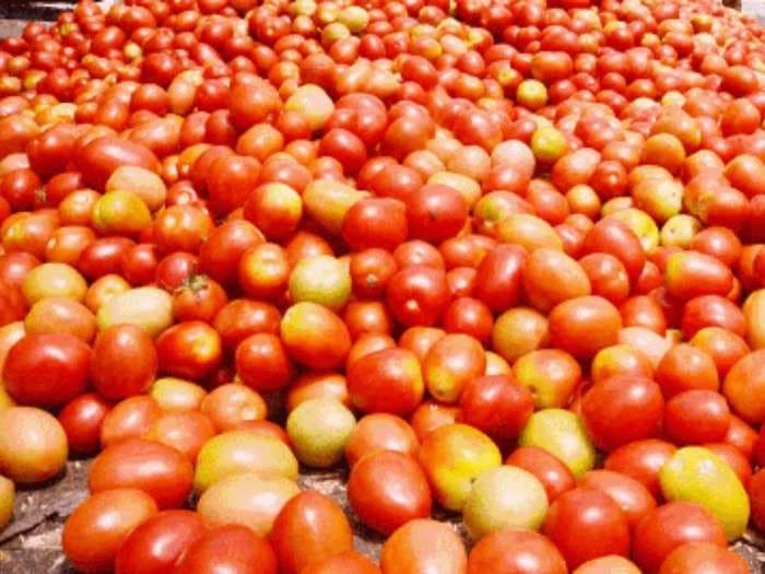 Selling tomatoes at 25 paise/ kg! Chhattisgarh farmers destroying their own produce, thanks to demonetisation