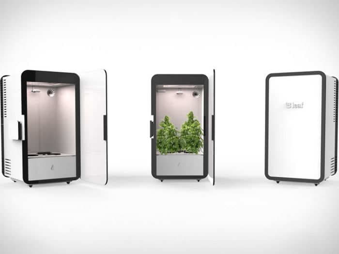 This smart appliance will grow marijuana for you