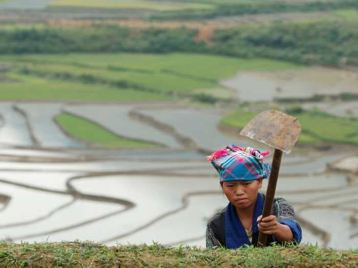 Vietnam could be 'sowing the seeds of the next crisis'