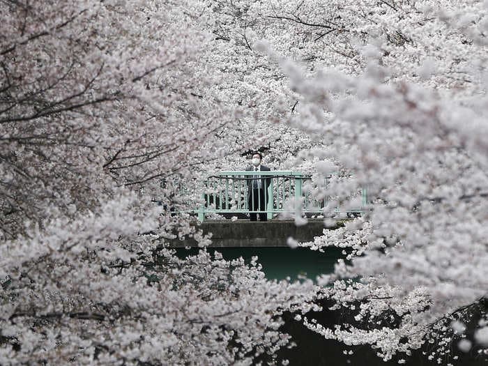 46 of the most beautiful and inspiring images in 2016