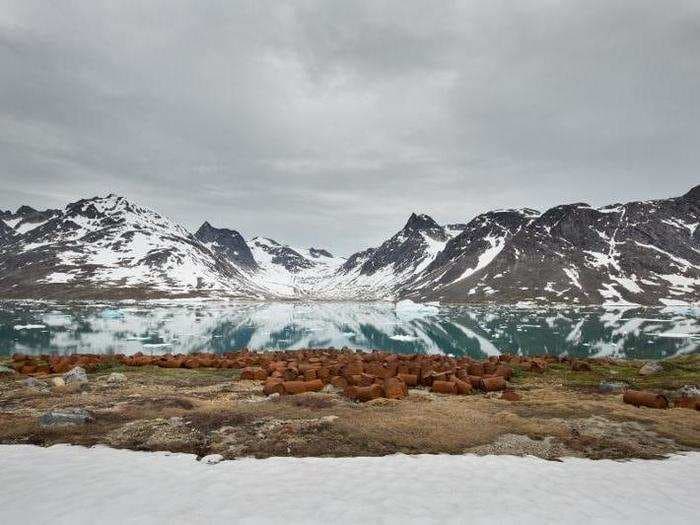 There are heaps of WWII junk rusting in Greenland's fjords - and the photos are eerily beautiful