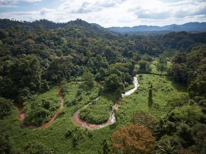 People hadn't set foot in this ancient 'lost city' in the Honduran jungle for 500 years - until now