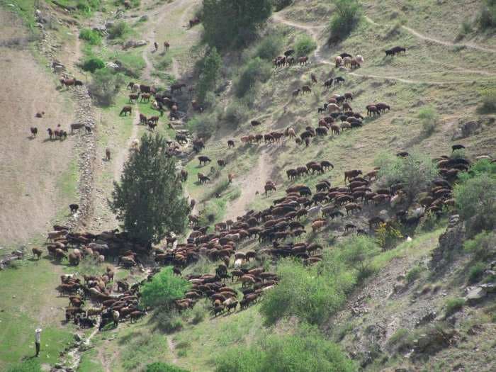 New research reveals secrets of how the ancient trade routes of the Silk Road were formed