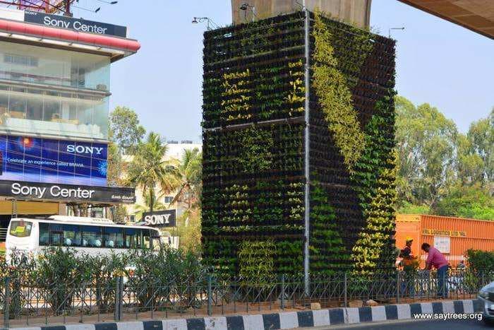 Shout out to Indian cities! Look what Bengaluru is doing to fight pollution