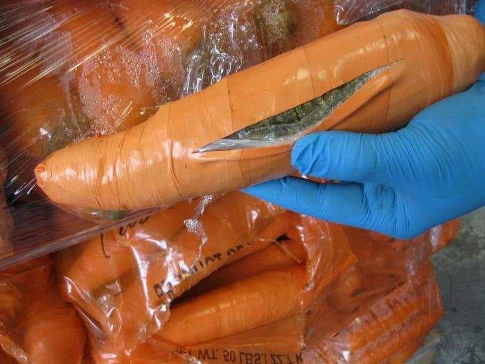 Fake vegetables, frozen sharks, and an Xbox - here are some of drugs smugglers' most bizarre methods