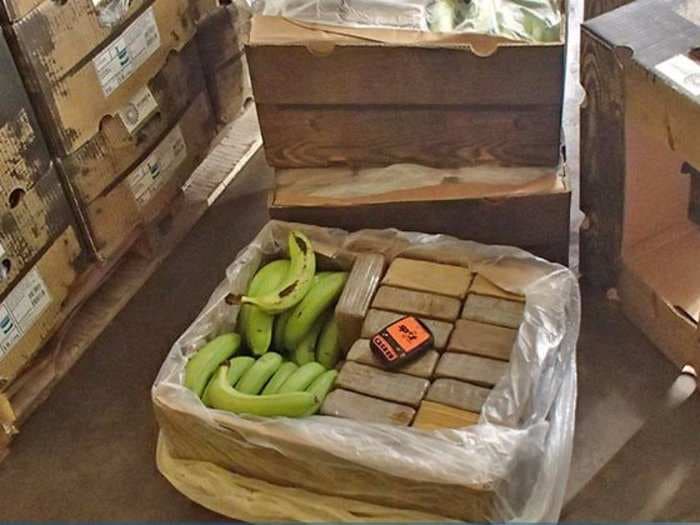 German police found nearly a half-ton of cocaine hidden in bananas