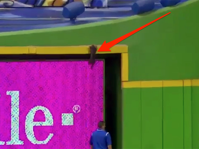 A cat halted the Marlins game by running onto the field, leading to a priceless bit of play-by-play announcing