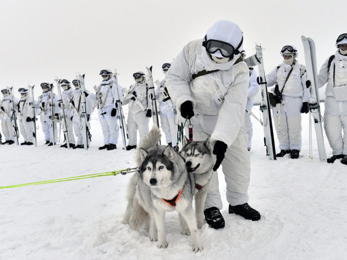 Here's why Russian soldiers are riding around the Arctic on sleds pulled by Reindeer