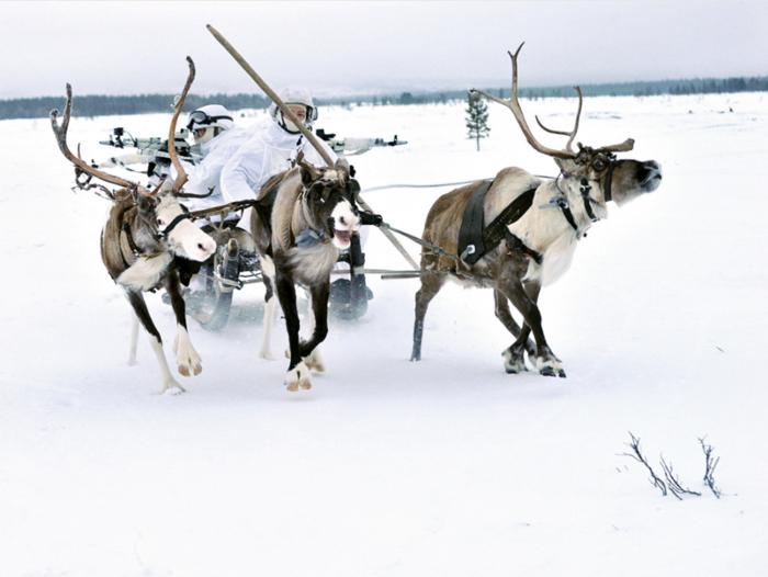 Here's why Russian soldiers are riding around the Arctic on sleds pulled by Reindeer