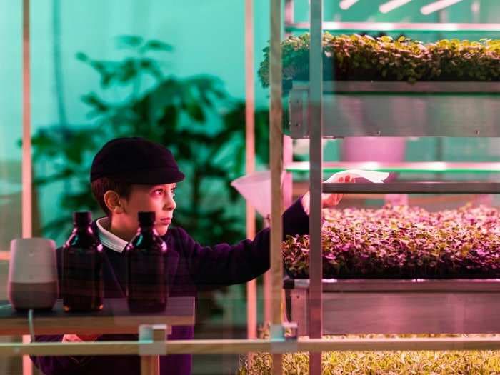 Ikea has debuted an indoor farm that grows greens three times faster than a garden