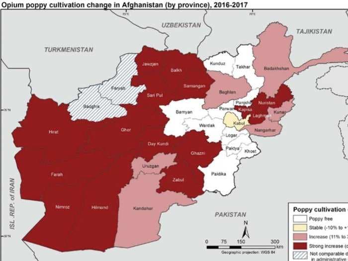 Opium production has set another record in Afghanistan - here's where it increased the most