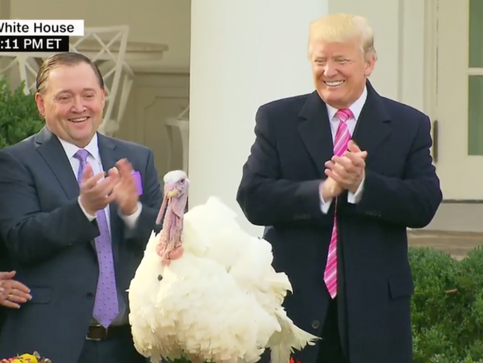 Trump pardons 'Drumstick' the turkey and jokes about overturning Obama's turkey pardons