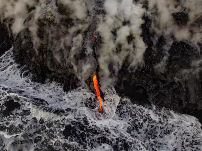 20 stunning photos of unreal landscapes, incredible animals, and mesmerizing underwater scenes