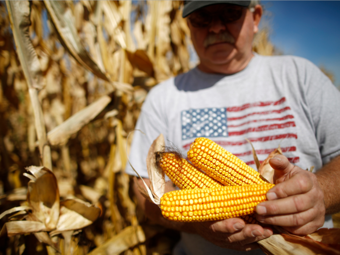 The $66 billion Bayer-Monsanto merger just got a major green light - but farmers are terrified