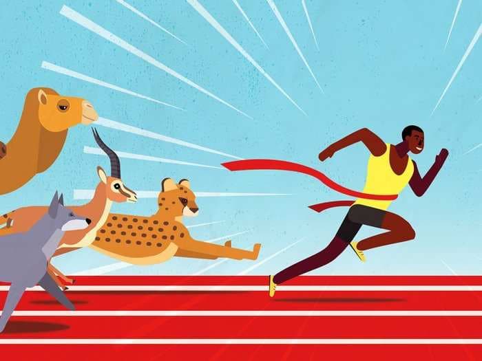 How humans evolved to become the best runners on the planet