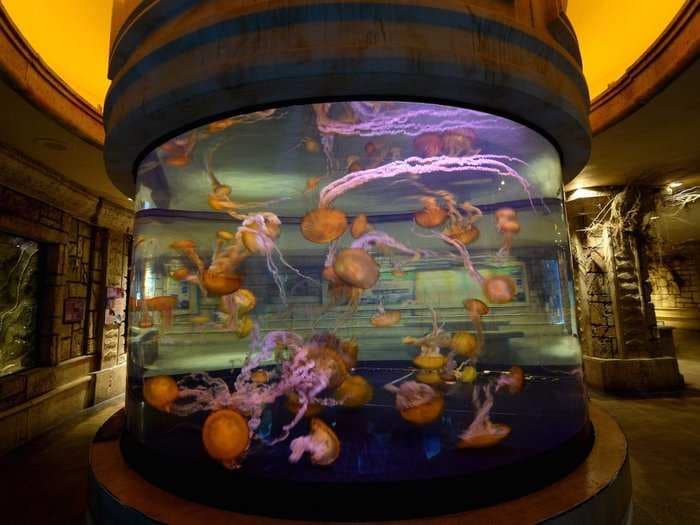 Hackers stole a casino's high-roller database through a thermometer in the lobby fish tank