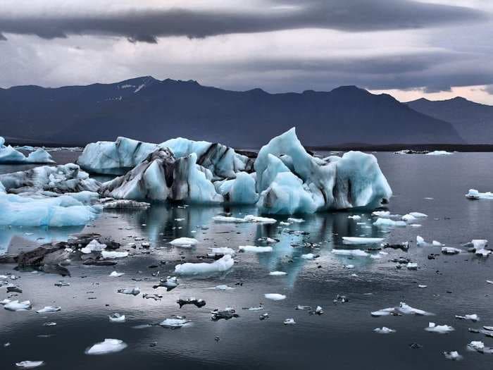 'Money talks': A $1.2 trillion fund manager is about to pull investment from companies that won't act on climate change