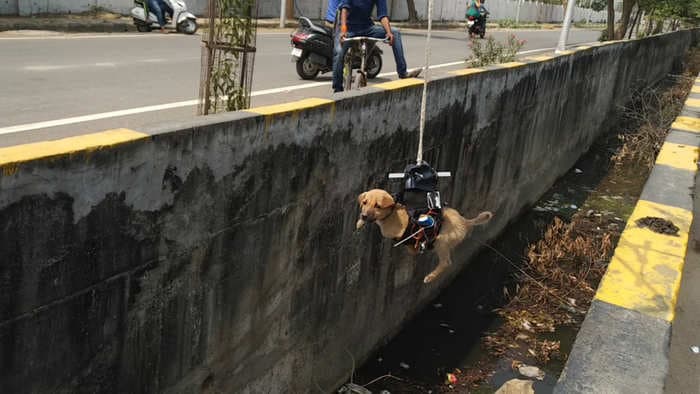 Indian man builds a robotic arm to save puppy trapped in a drain