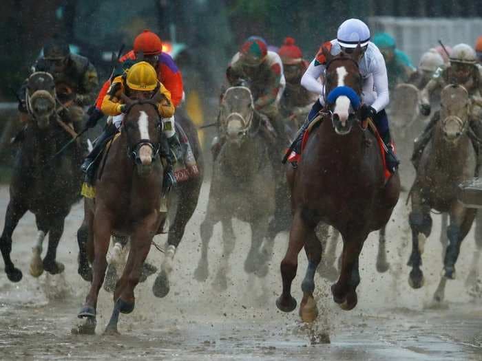 Preakness Stakes 2018: Everything you need to know about the 8 horses running in the second leg of the Triple Crown